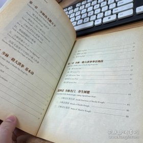 少林大洪拳【无盘】