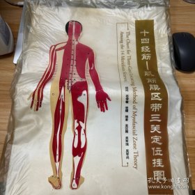 十四經(jīng)筋：肌筋膜區(qū)帶三關(guān)定位掛圖