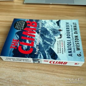 The Climb : Tragic Ambitions on Everest