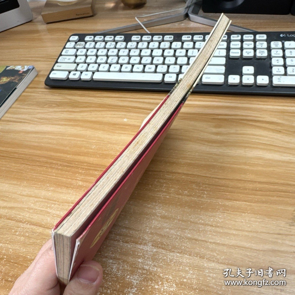 少林大洪拳【无盘】