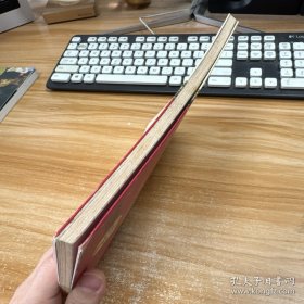 少林大洪拳【无盘】