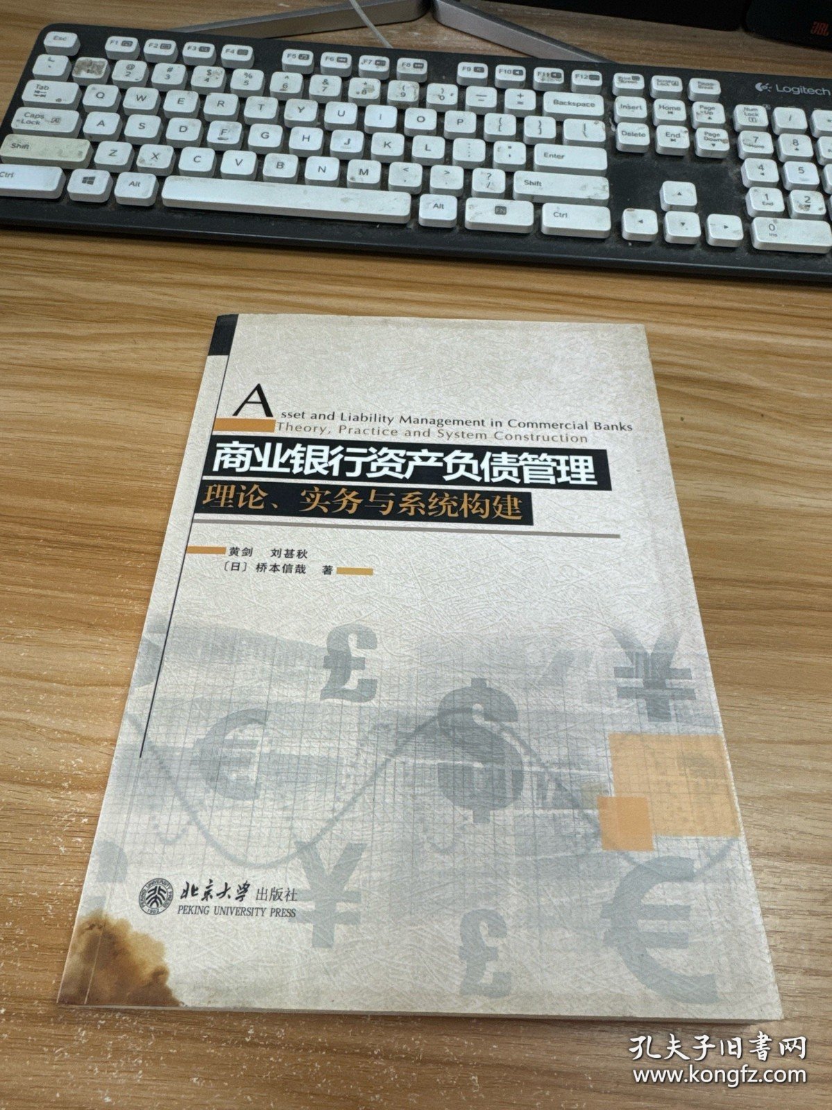 商业银行资产负债管理：理论、实务与系统构建