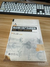 商业银行资产负债管理：理论、实务与系统构建