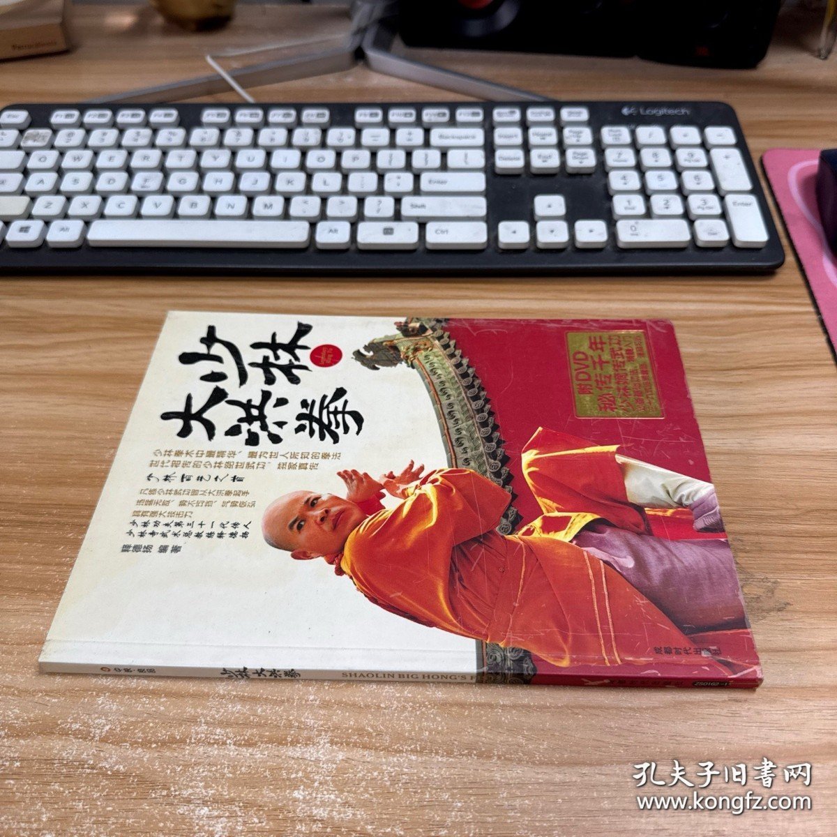 少林大洪拳【无盘】