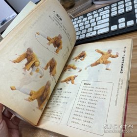 少林大洪拳【无盘】