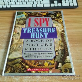I Spy Treasure Hunt: A Book of Picture Riddles 视觉大发现系列：金牌间谍之寻宝篇