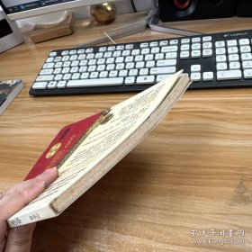 少林大洪拳【无盘】