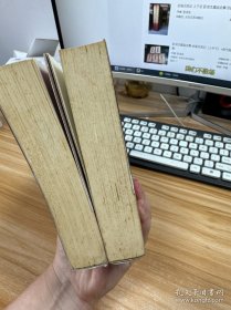 金笔点龙记【上下册】