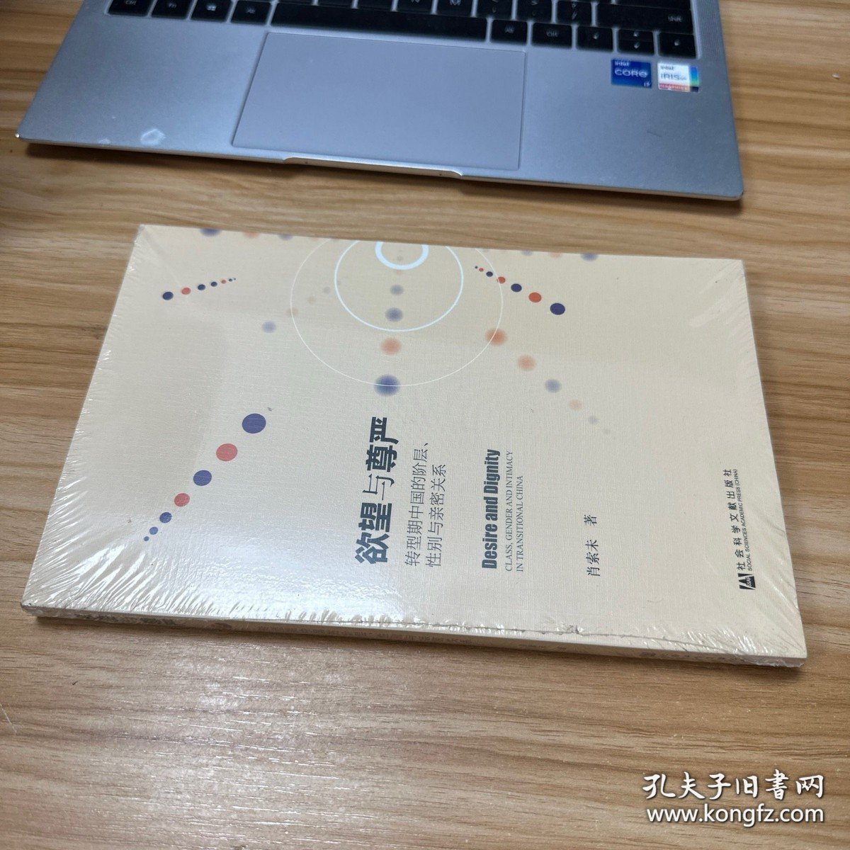 欲望与尊严：转型期中国的阶层、性别与亲密关系 未开封