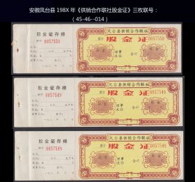 安徽凤台县198X年《供销合作联社股金证》三枚联号：（45-46--014）