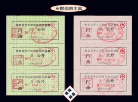 河北省秦皇岛1996年公-安-局内部《加油票》六枚合计价：品相漂亮（21-22）