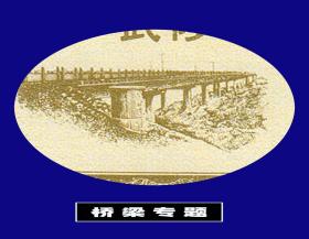 桥梁专题：河南武陟县1986年《食油票-----500克》共四枚合计价：