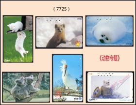 日本电话卡《动物专题》六枚合计价：软塑料薄卡，稀缺品种（7725）。