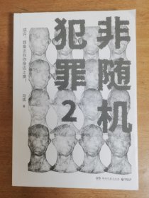 非随机犯罪2