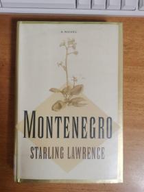 A  NOVEL  MONTENEGRO  FSG  LAWRENCE