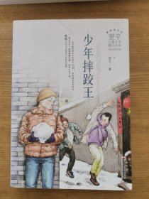 翌平儿童文学精品书系：少年摔跤王