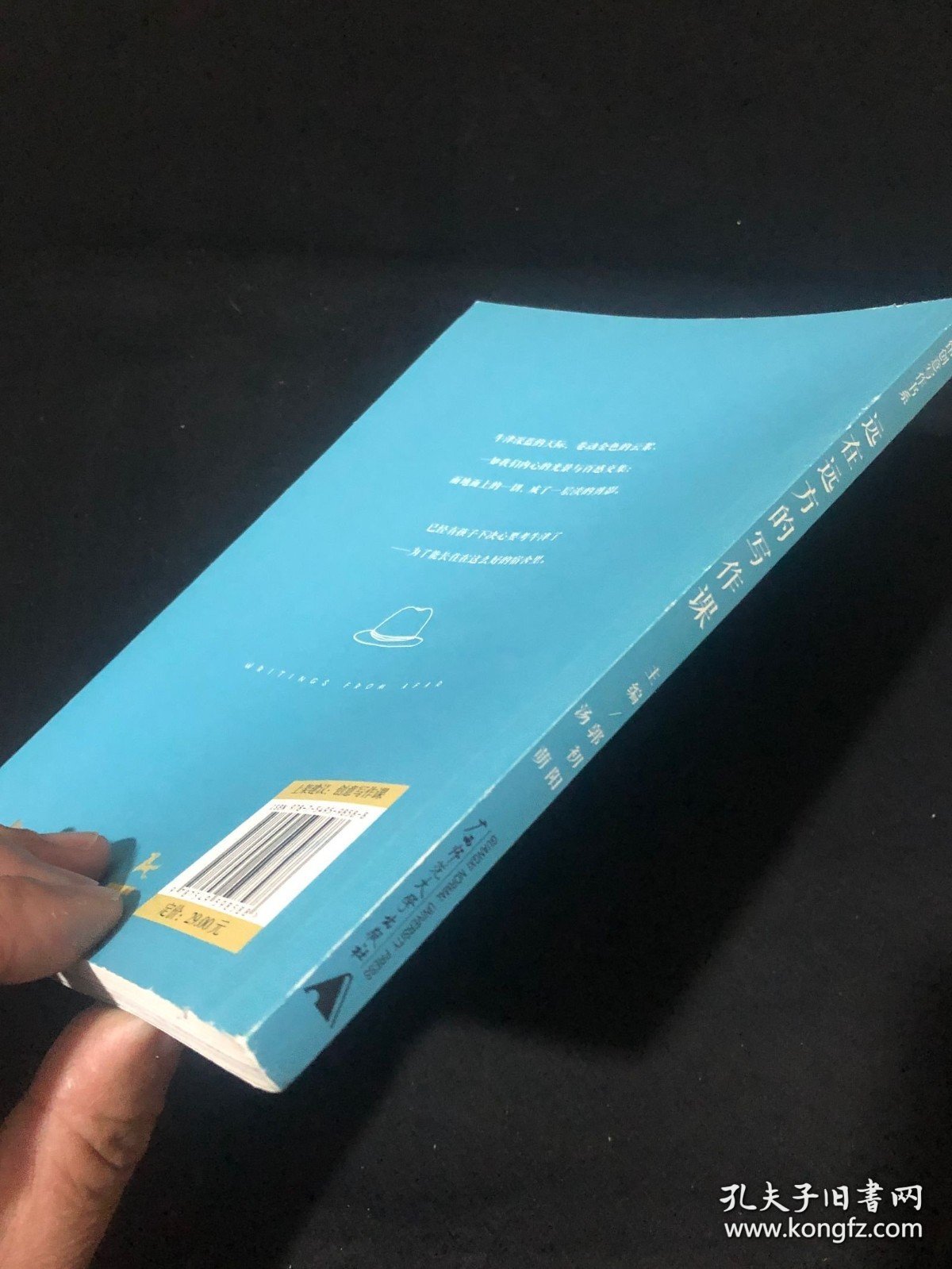 远在远方的写作课 越读馆创意写作书系