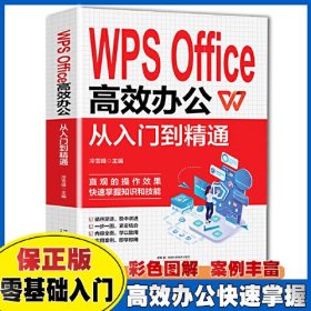 WPS Office 高效办公从入门到精通 从入门到精通办公室基础电脑软件一套通