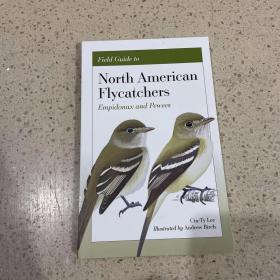 NORTH AMERICAN FLYCATCHERS