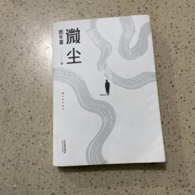 微尘（易中天感动推荐；陈年喜非虚构故事集；卑微如尘，也要热烈地活着。）