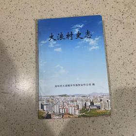 广东省地方志：大浪村史志