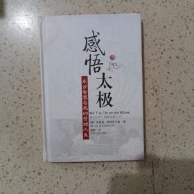 感悟太极：东方智慧与我的管理人生