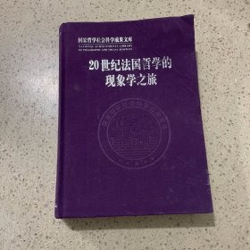 20世纪法国哲学的现象学之旅