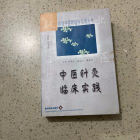 中医针灸临床实践