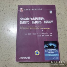 全球电力市场演进：新模式、新挑战、新路径