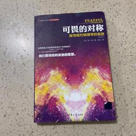 可畏的对称：探寻现代物理学的美丽