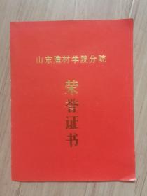 《山东省建材学院分院》荣誉证书