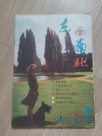 《东西南北》1986-2