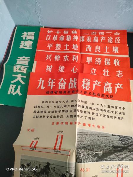 农业靠大寨精神 全国大寨式农业典型展览挂图九年奋战 稳产高产—福建省福清县音西人民公社音西大队（一套9张）