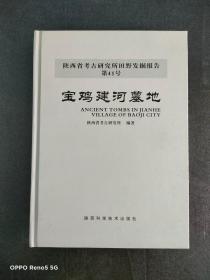 陕西考古研究所田野发掘报告第41号：宝鸡建河墓地