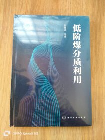 低阶煤分质利用