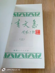 柳青文集(上下）