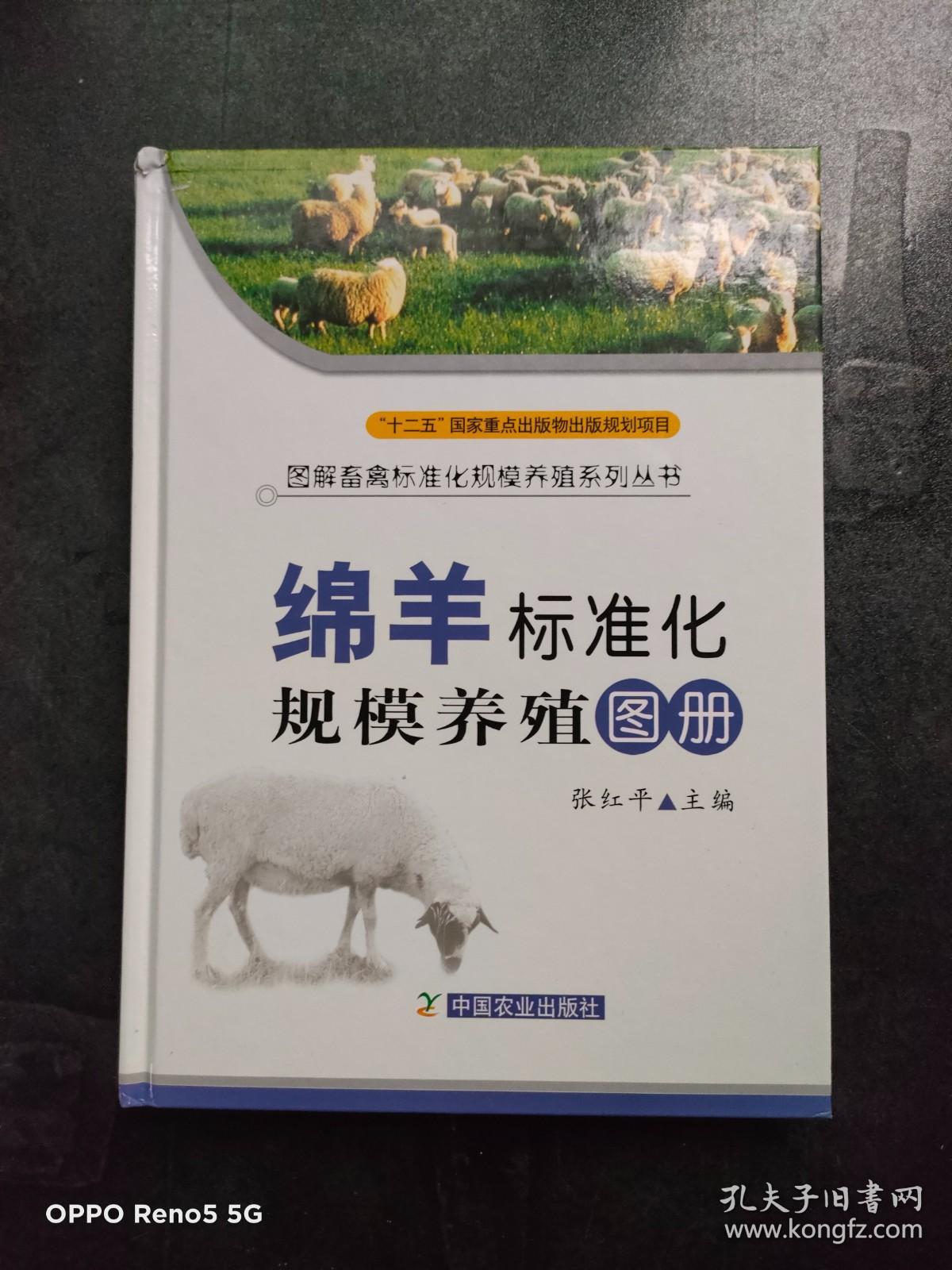 绵羊标准化规模养殖图册