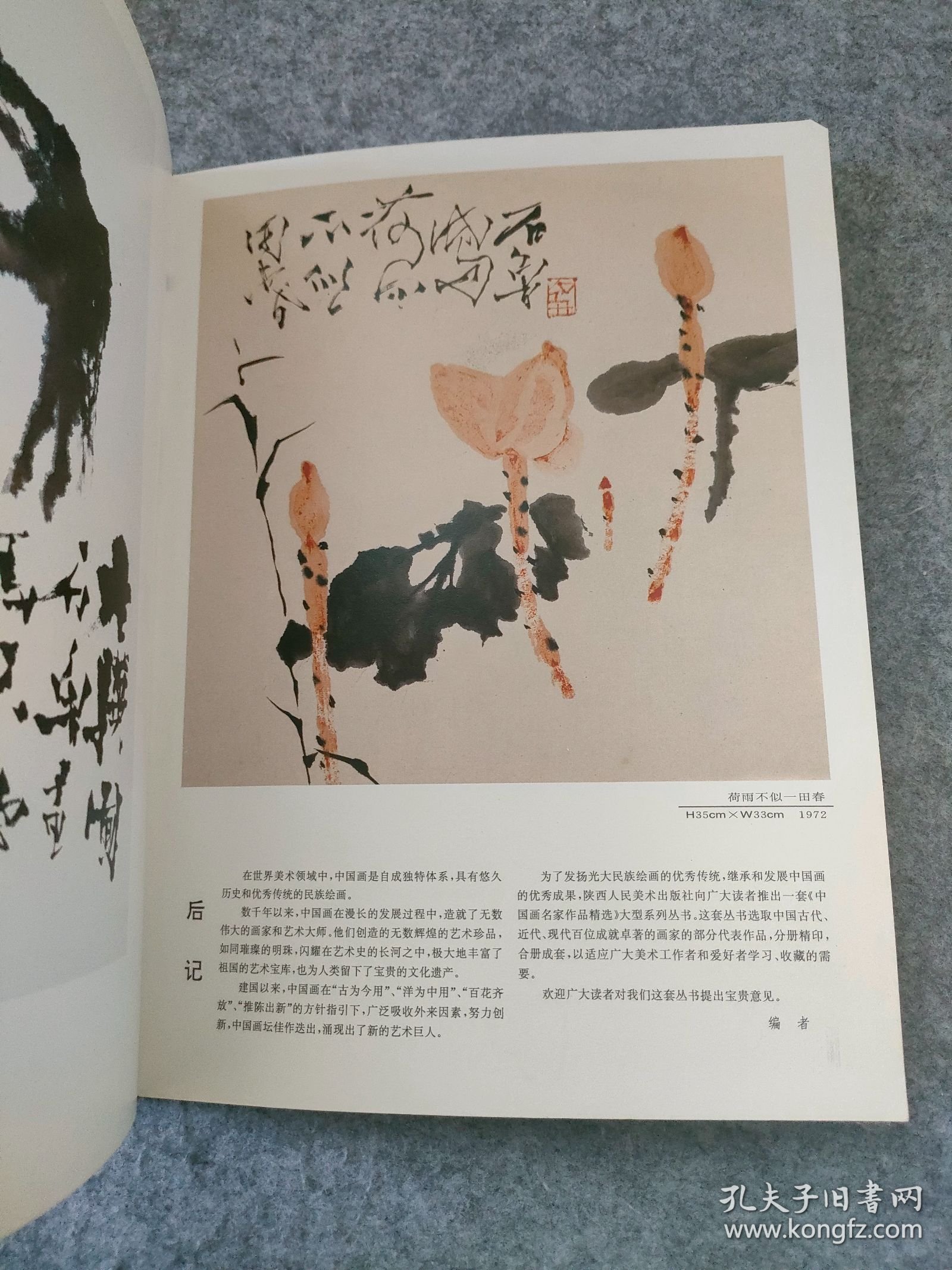 中国画名家作品精选：石鲁作品