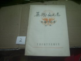芜湖·文化志（芜湖书店志）初稿 16开油印