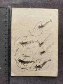 60年代空白贺卡，齐白石绘画代表名作虾——LJ1961