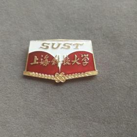 老徽章，七八十年代上海科技大学校徽，个大美品—E927