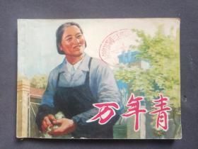 连环画，万年青（老门卫、友谊手）1975年一版一印，水利电力部第三工程局，名家韩和平、汪观清、郑家声绘画，品相不错——GY154