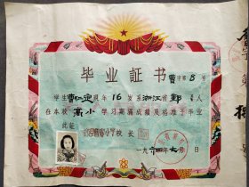 老证书，1964年鄞县曹家小学毕业证书，浙江宁波鄞县曹家小学，校长陈荣栋钤印——LJ170