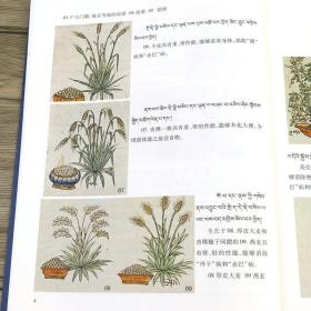 四部医典药物唐卡图解 （汉文藏文） 西藏人民出版社
