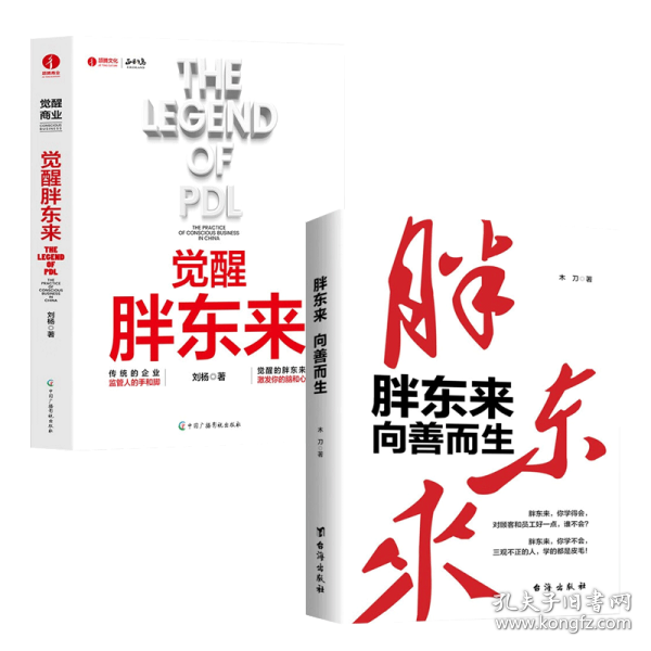 觉醒胖东来  首个觉醒商业中国本土案例洞察 一本书看懂胖东来商业觉醒之路