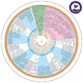 中医基础理论辨证施治表 卡片圆盘中医基础理论自学自查研究 双面旋转直径21cm