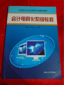 （特价）会计电算化初级教程 (仅印3000册) （有学后划线笔迹多处）