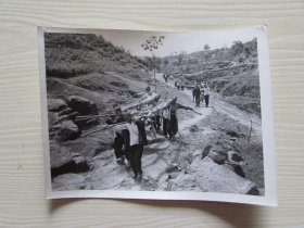 60年代新华社老照片.为革命治山治水建设稳产高产田[图为河南省鲁山县石坡头公社石坡头大队的社员.]