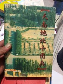 天南地北十团兵