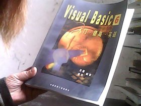 Visual Basic 6入门·提高·实战（无盘）